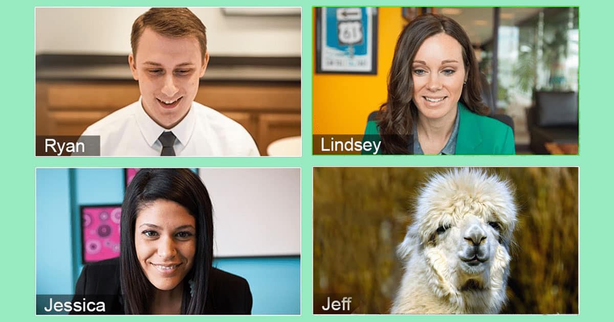 Animal-Nature-Goat=2=meeting-a-animals-nature-wildlife-natgeo-humour-cute-peta-panda-bears-animal-