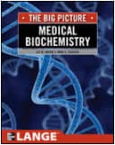 The Big Picture The Big Picture