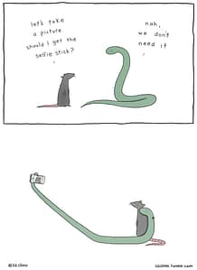 11665561_843578562377291_348537433389382968_n