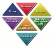 glyconutrients-graph