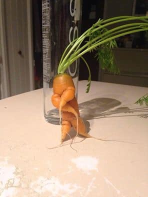 10429388_1026756217353831_6013956897714009034_n