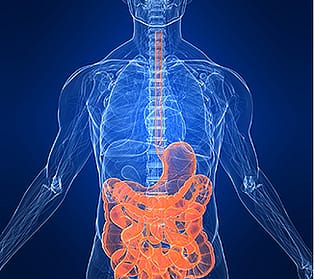 diseases-conditions-digestive-329x290