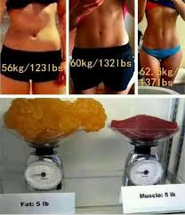fat-lossvs-weight-loss-diet-natural-health-organic-health-cape-town=1