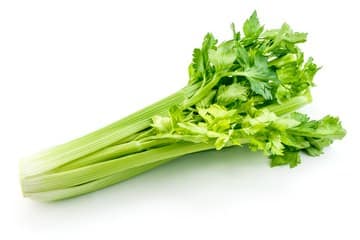 celery
