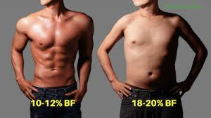 Weight Loss Vs Fat Loss Why Bmi Is Outdated Organic Health
