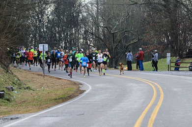 Watch Dog Unknowingly Runs Marathon After Being Let Out To Pee Places 7th Organic Health