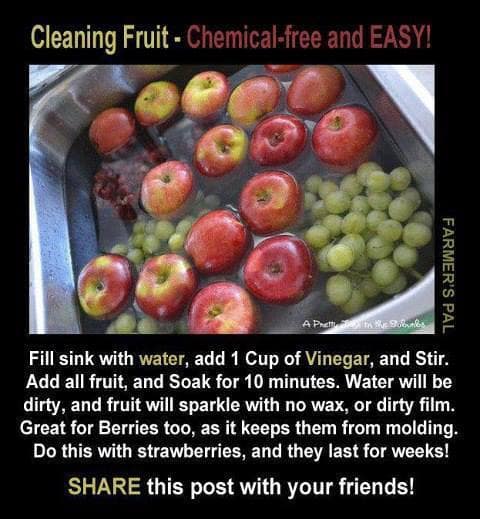 Clean Food