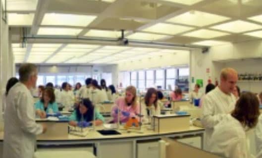 Oxford University Glycobiology Institute Oxford University Glycobiology Institute