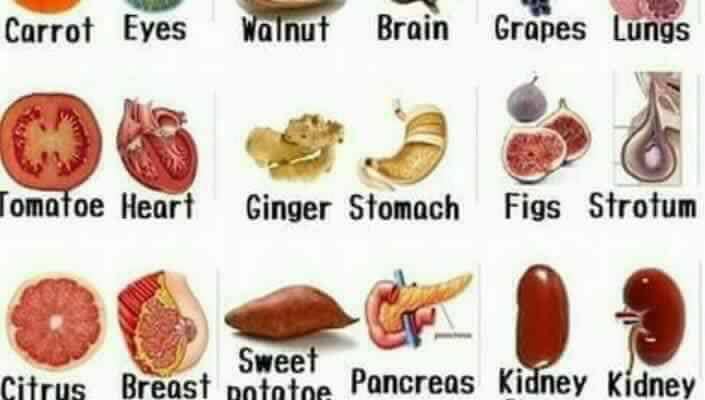 Organic Health-Food-Health-Natural-Organic-Supplement-Foods-Diet
