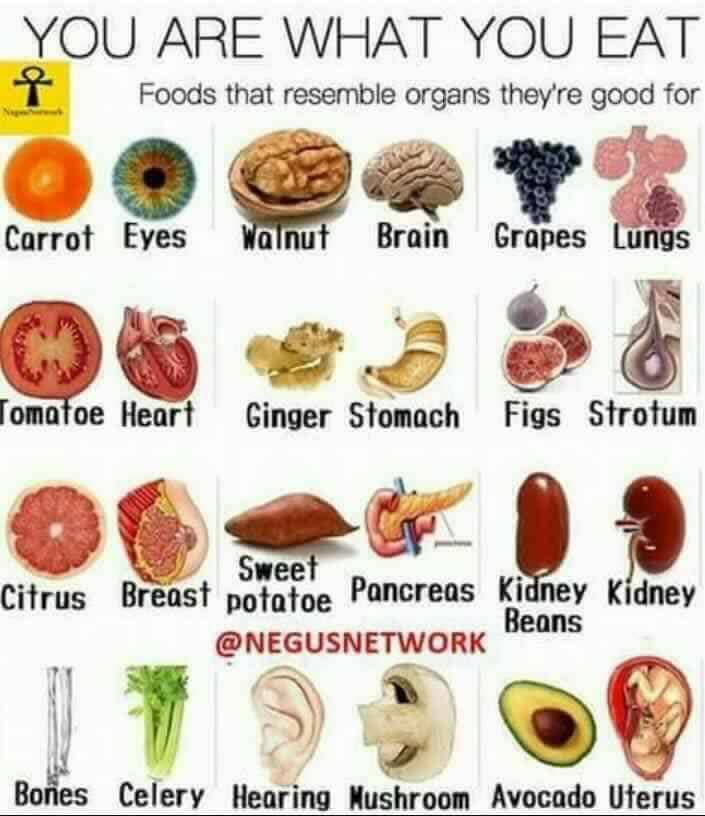 Organic Health-Food-Health-Natural-Organic-Supplement-Foods-Diet