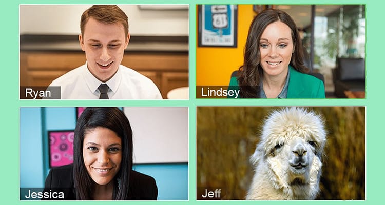 Animal-Nature-Goat=2=meeting-a-animals-nature-wildlife-natgeo-humour-cute-peta-panda-bears-animal-