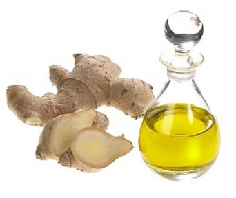 ginger-essential-oil